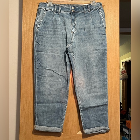 NWT Sonoma Relaxed High Rise - Picture 1 of 6